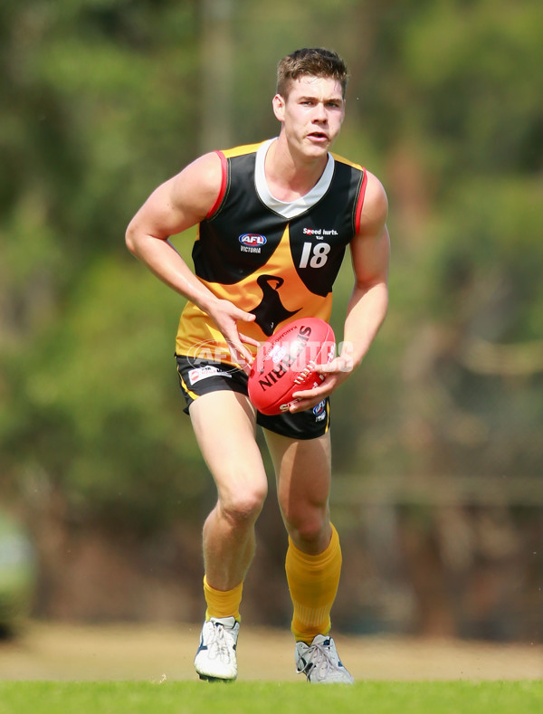 TAC Cup 2015  - Dandenong Stingrays v Geelong - 364786