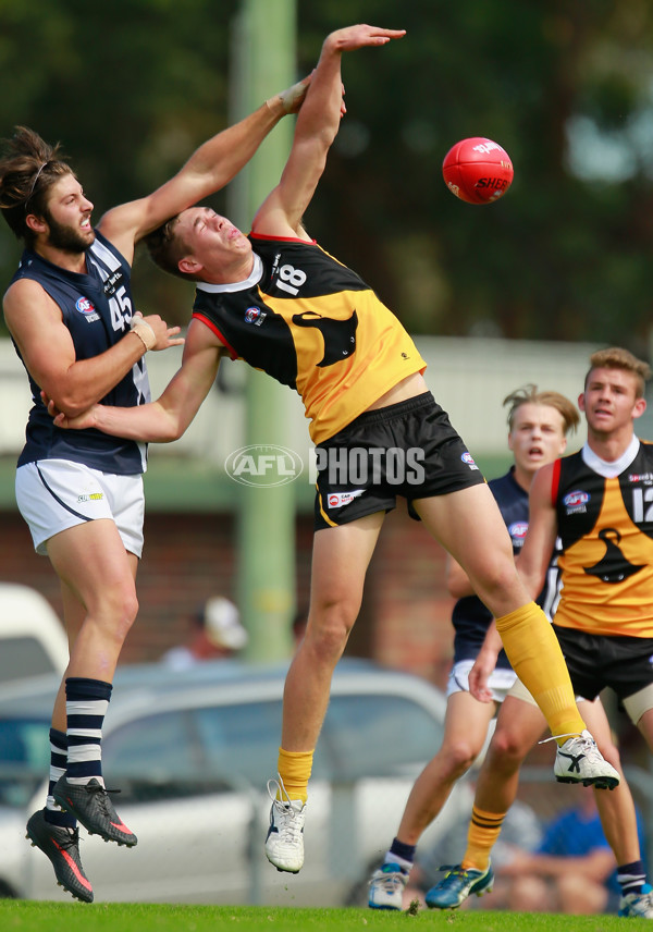 TAC Cup 2015  - Dandenong Stingrays v Geelong - 364815