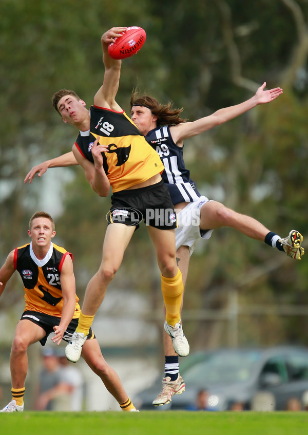 TAC Cup 2015  - Dandenong Stingrays v Geelong - 364857