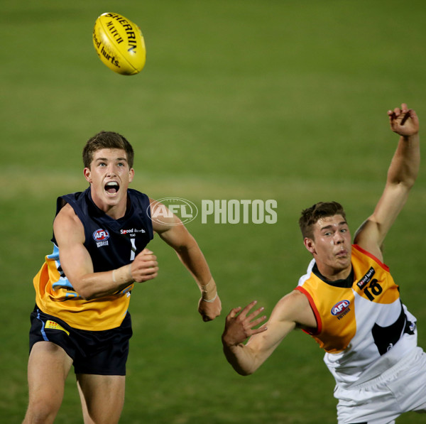 TAC Cup 2015  - Bendigo Pioneers v Dandenong Stingrays - 366149
