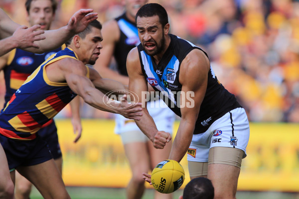 AFL 2015 Rd 05 - Adelaide v Port Adelaide - 371048