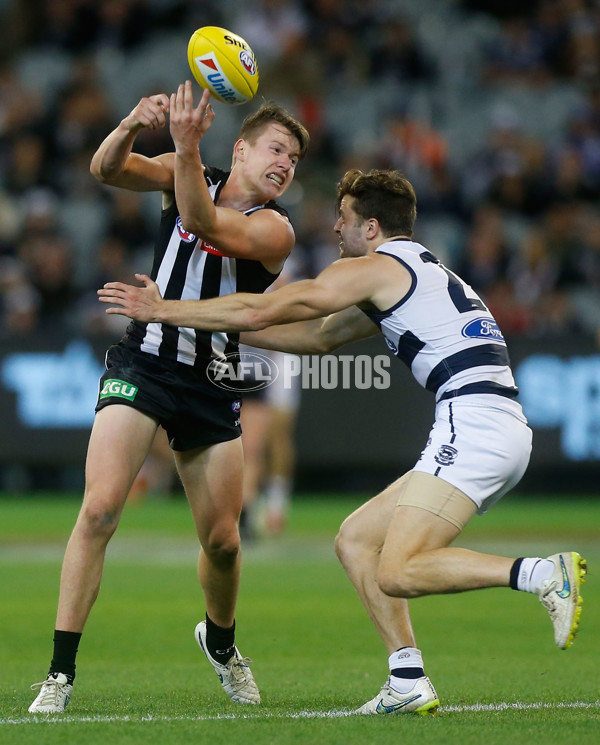 AFL 2015 Rd 06 - Collingwood v Geelong - 371665