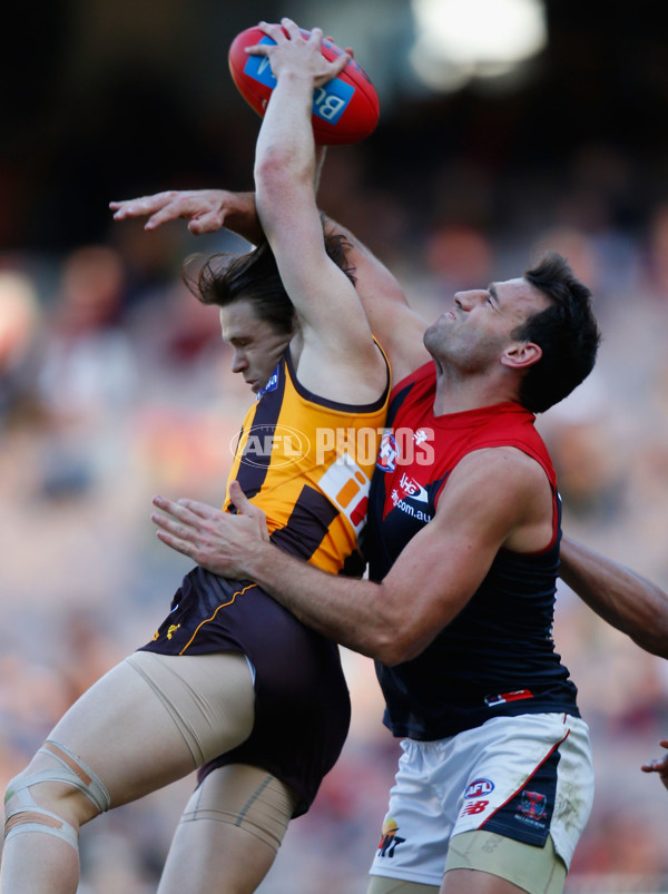 AFL 2015 Rd 07 - Hawthorn v Melbourne - 373380