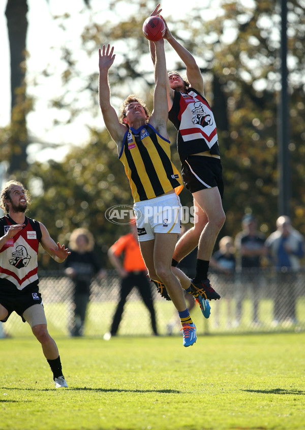 VFL 2015 Rd 05 - Frankston v Sandringham - 374152