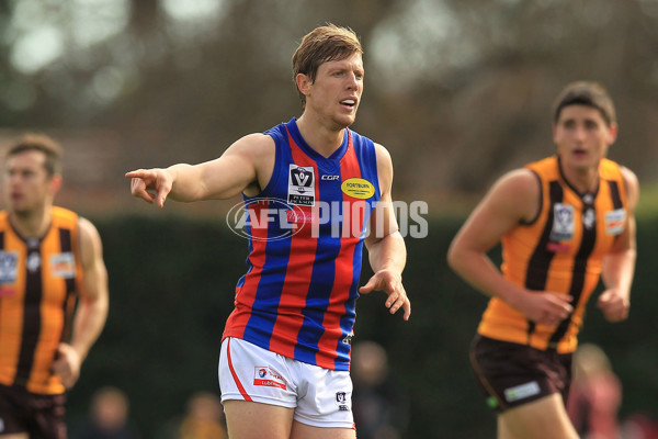 VFL 2015 Rd 08 - Box Hill Hawks v Port Melbourne - 380485