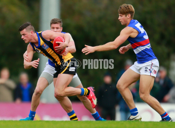 VFL 2015 Rd 11 - Sandringham v Footscray Bulldogs - 384145