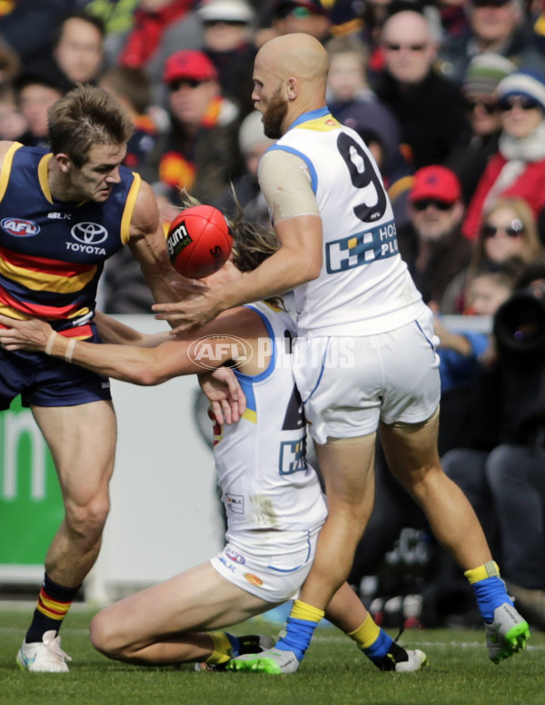 AFL 2015 Rd 17 - Adelaide v Gold Coast - 390835