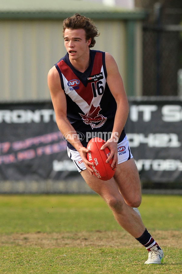 TAC 2015 Rd 15 - Dandenong v Sandringham - 393918