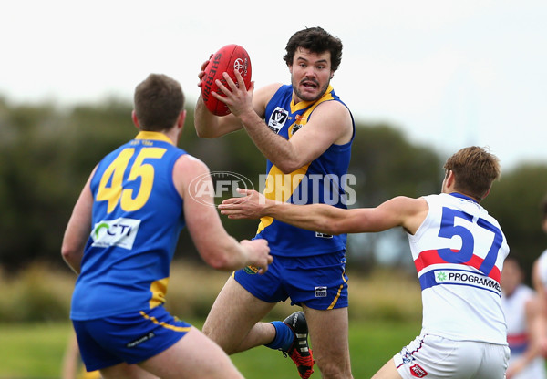 VFL 2015 Rd 17 - Williamstown v Footscray - 395425
