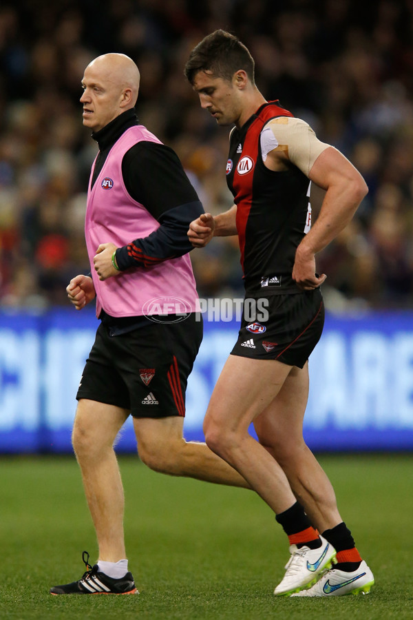 AFL 2015 Rd 20 - Essendon v Adelaide - 395987