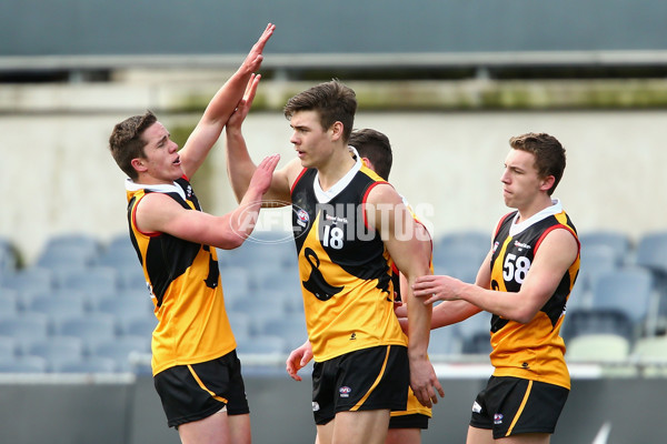 TAC 2015 2nd Qualifying Final - Dandenong Stingrays v Murray Bushrangers - 401888