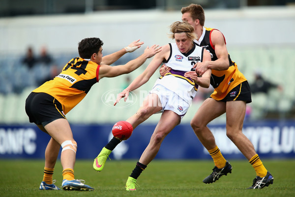 TAC 2015 2nd Qualifying Final - Dandenong Stingrays v Murray Bushrangers - 401944