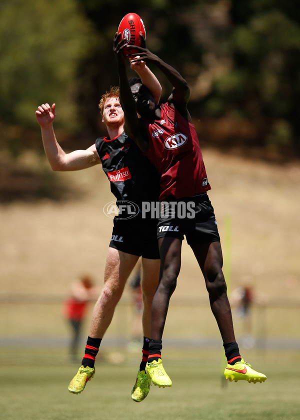 AFL 2015 Training - Essendon 091215 - 413340