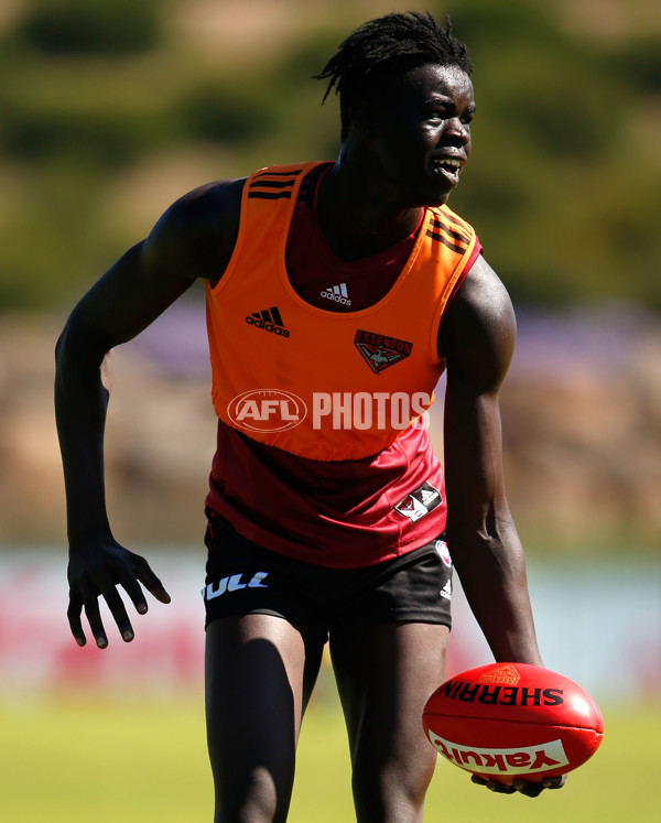 AFL 2015 Training - Essendon 041215 - 412891