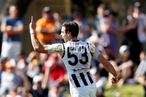 VFL 2015 2nd Semi Final - Sandringham v Collingwood - 403337