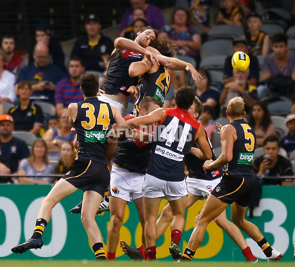 AFL 2014 NAB Challenge - Richmond v Melbourne - 313396