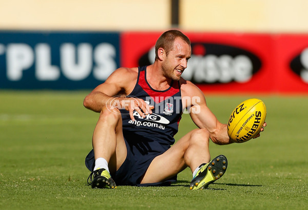 AFL 2014 Training - Melbourne 270214 - 315145