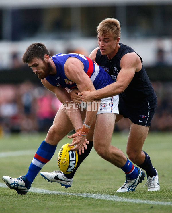 AFL 2014 Practice Match - Carlton v Western Bulldogs - 316166