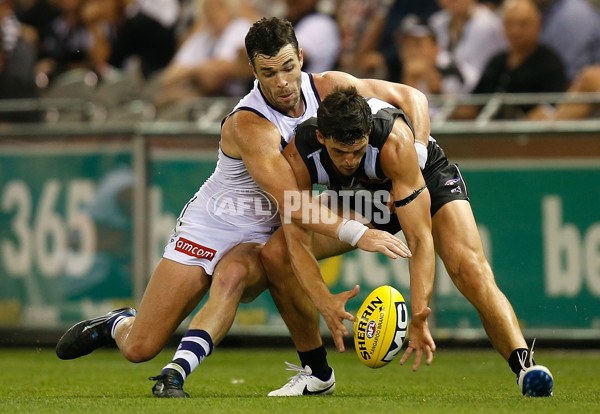 AFL 2014 Rd 01 - Collingwood v Fremantle - 316713