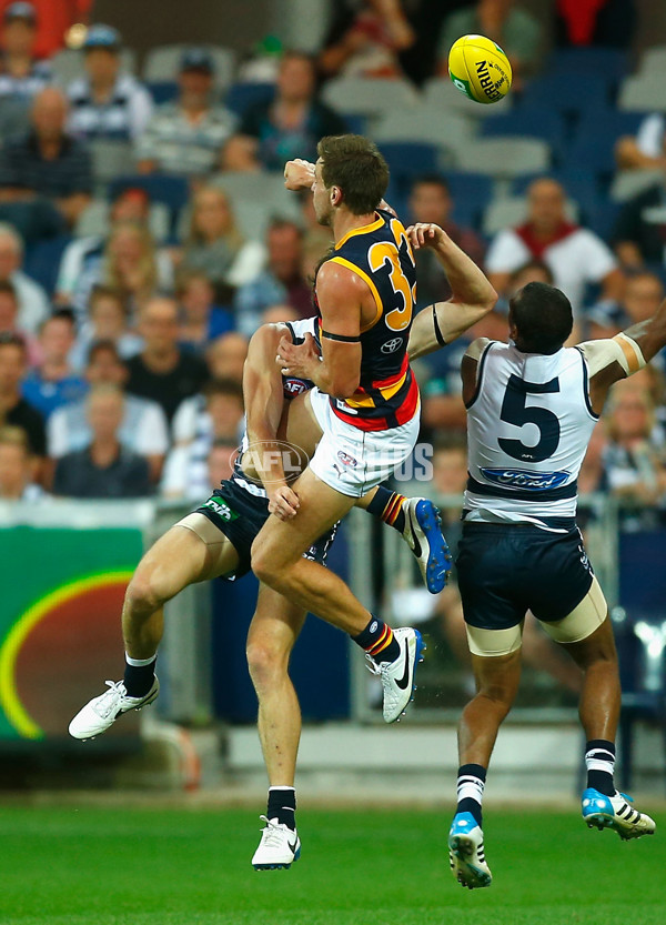 AFL 2014 Rd 01 - Geelong v Adelaide - 317562