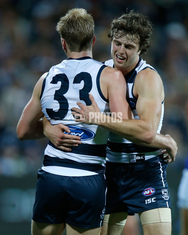 AFL 2014 Rd 04 - Geelong v West Coast - 321683