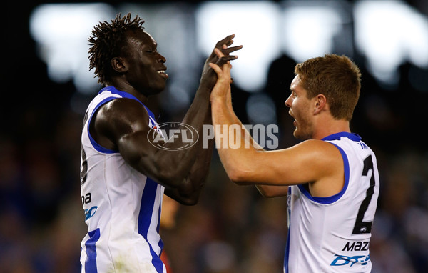 AFL 2014 Rd 07 - North Melbourne v Gold Coast - 325858