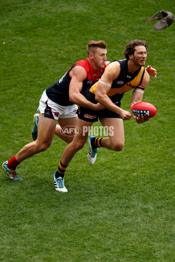 AFL 2014 Rd 09 - Richmond v Melbourne - 327574