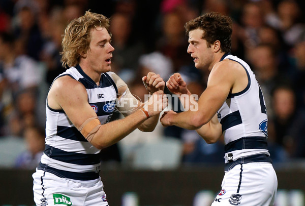 AFL 2014 Rd 10 - Geelong v North Melbourne - 328483