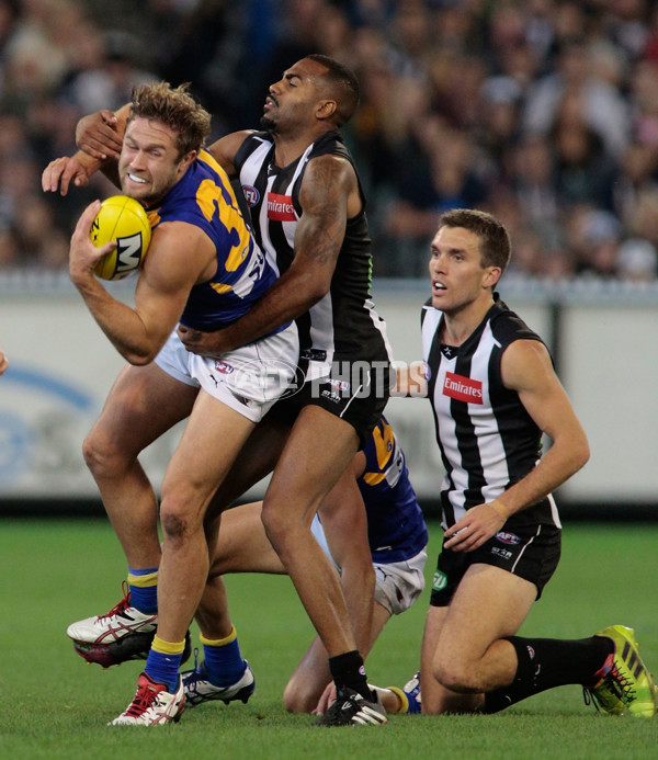 AFL 2014 Rd 10 - Collingwood v West Coast - 328743