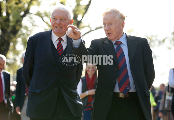AFL 2014 Rd 12 - Melbourne v Collingwood - 331645