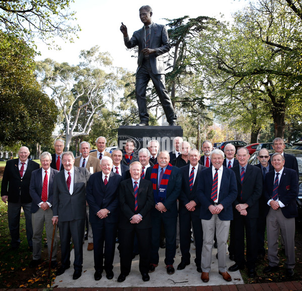 AFL 2014 Rd 12 - Melbourne v Collingwood - 331643