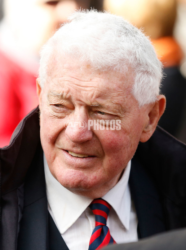 AFL 2014 Rd 12 - Melbourne v Collingwood - 331759