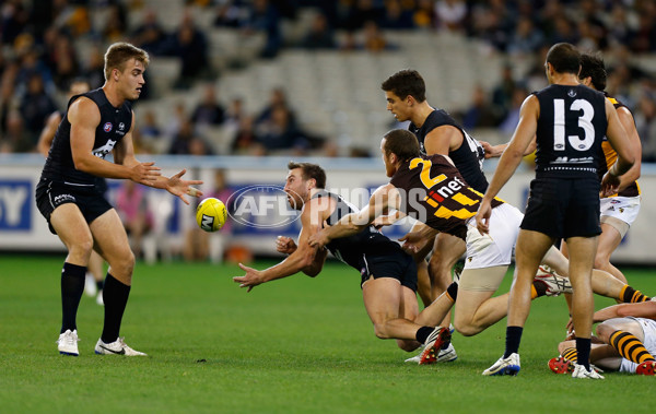 AFL 2014 Rd 13 - Carlton v Hawthorn - 332098