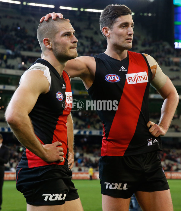 AFL 2014 Rd 13 - Essendon v Melbourne - 332793
