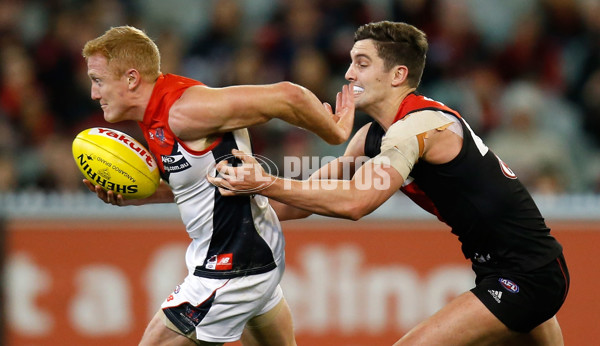 AFL 2014 Rd 13 - Essendon v Melbourne - 332849