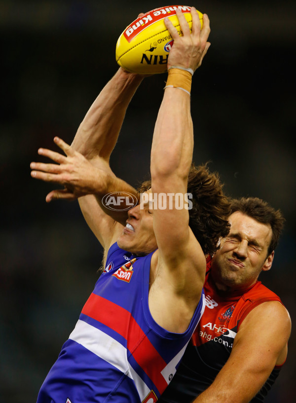 AFL 2014 Rd 15 - Western Bulldogs v Melbourne - 335244