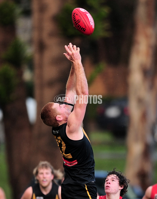 VFL 2014 Rd 12 - Werribee Tigers v Coburg - 335310