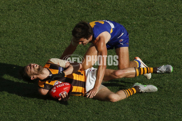 2015 Toyota AFL Grand Final - Hawthorn v West Coast - 408934