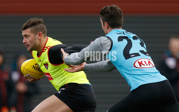 AFL 2014 Training - Essendon 100714 - 337449