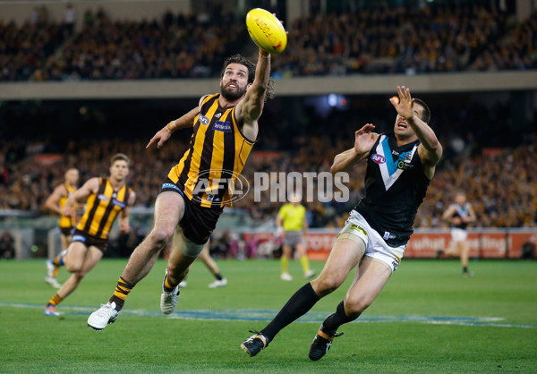 AFL 2014 Second Preliminary Final - Hawthorn v Port Adelaide - 349453