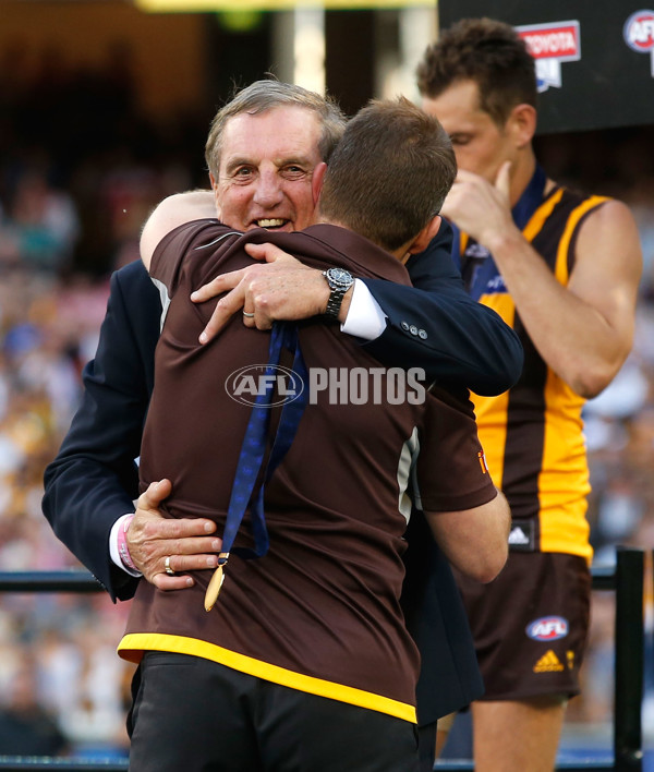 AFL 2014 Toyota Grand Final - Sydney v Hawthorn - 351684