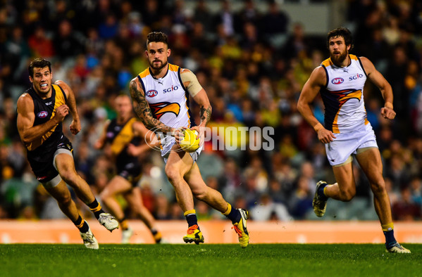 AFL 2014 Rd 18 - West Coast v Richmond - 339478