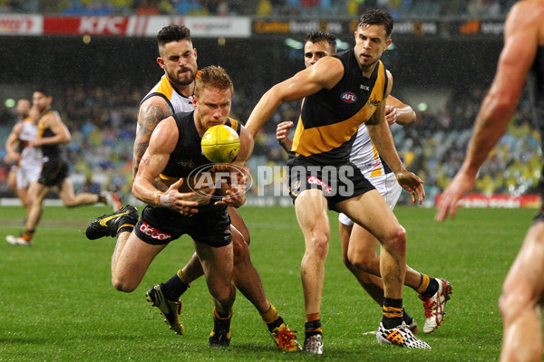 AFL 2014 Rd 18 - West Coast v Richmond - 339592