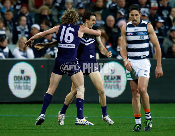 AFL 2014 Rd 20 - Geelong v Fremantle - 341939