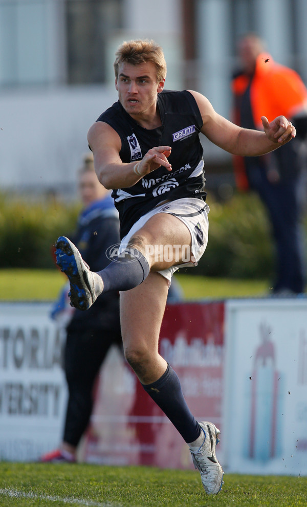 VFL 2014 Rd 18 - Williamstown v Northern Blues - 342490