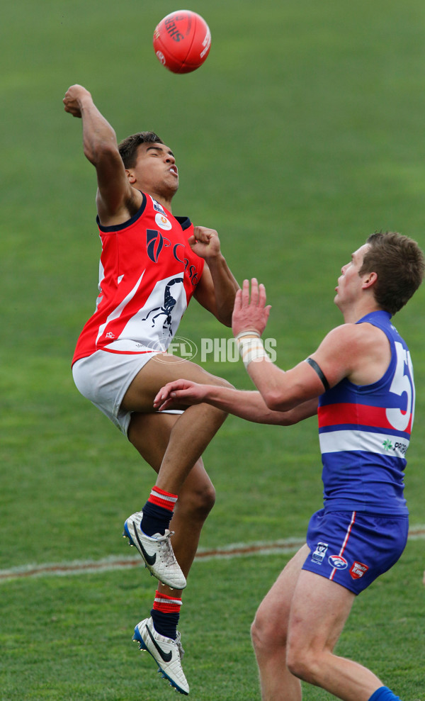 VFL 2014 Rd 19 - Footscray v Casey Scorpians - 343818