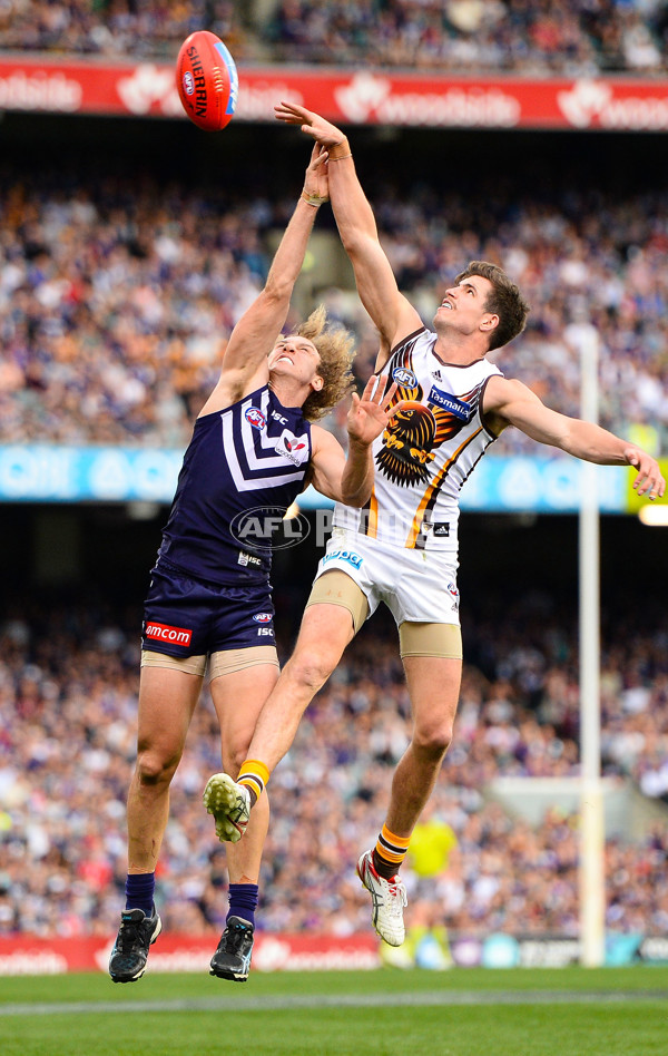 AFL 2014 Rd 21 - Fremantle v Hawthorn - 344019
