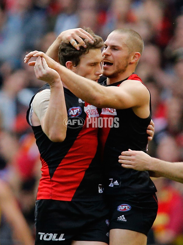 AFL 2014 Rd 22 - Essendon v Gold Coast - 344531