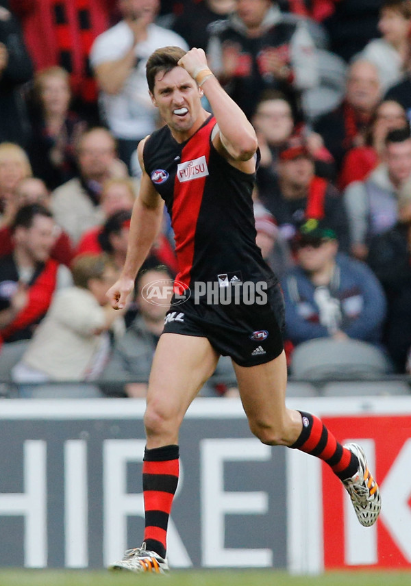 AFL 2014 Rd 22 - Essendon v Gold Coast - 344589