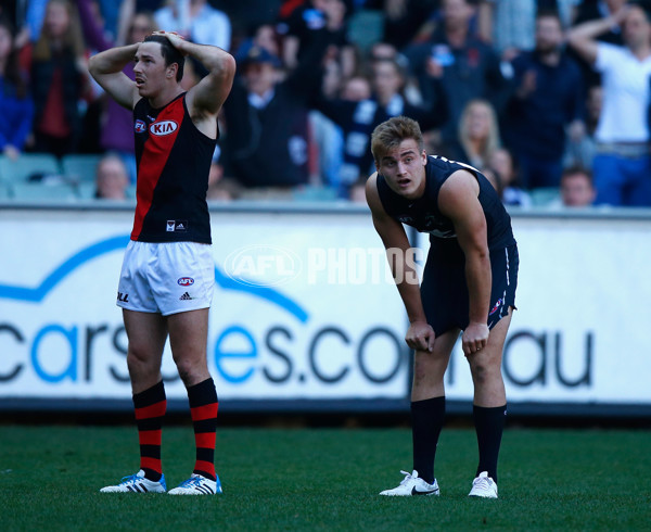 AFL 2014 Rd 23 - Carlton v Essendon - 345753